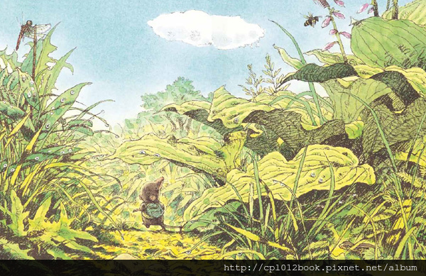 風的草原內頁圖 03