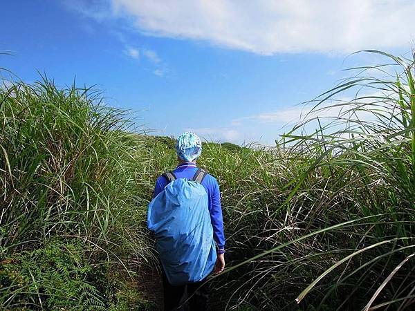 11182241_831422316936574_1506268738333819384_n