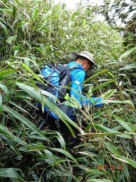 11185790_1133014923381429_1988512660_n