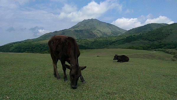 11008466_363035113890342_5396585843679930513_n 11008466_363035113890342_5396585843679930513_n