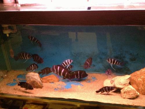 調整大小2013-12-25 23.04.56