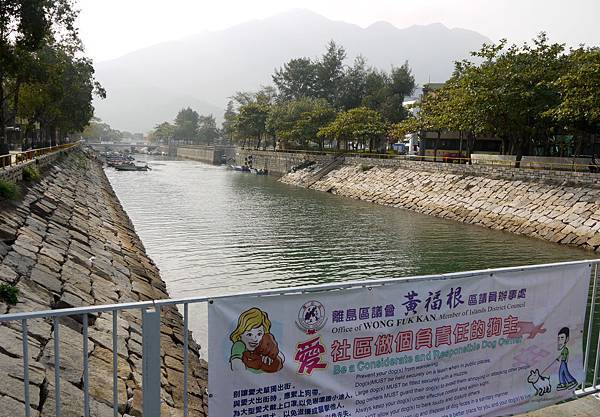 P1310394.JPG P1310394.JPG