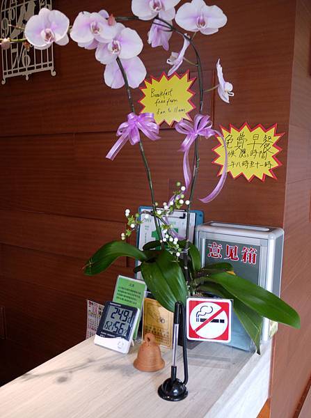 P1310425.JPG P1310425.JPG