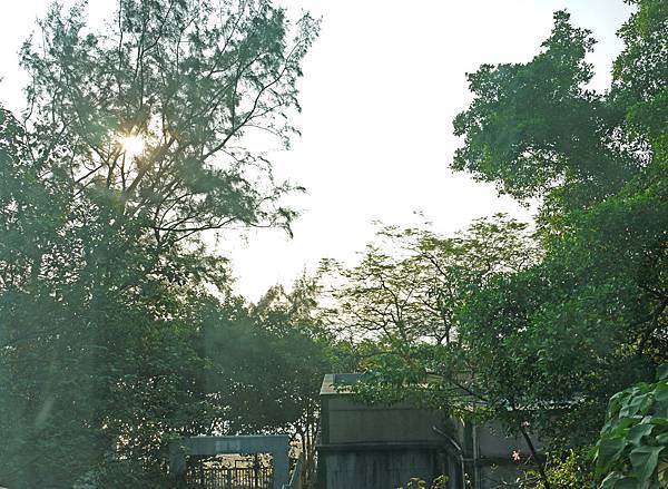 P1310534.JPG P1310534.JPG