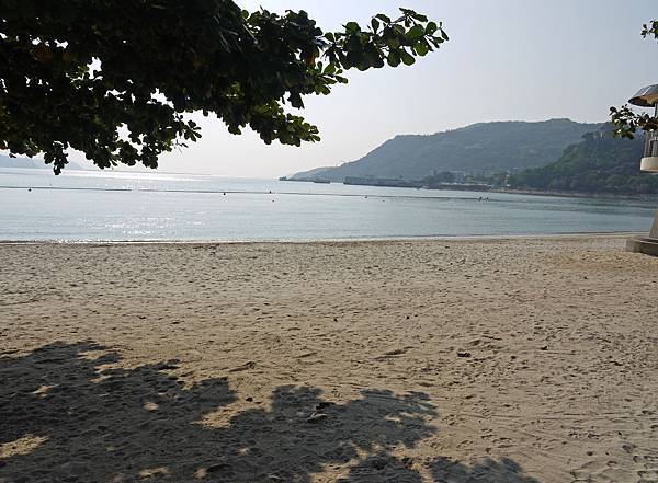 P1310544.JPG P1310544.JPG