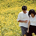 2011台北電影節_河豚.jpg 2011台北電影節_河豚.jpg