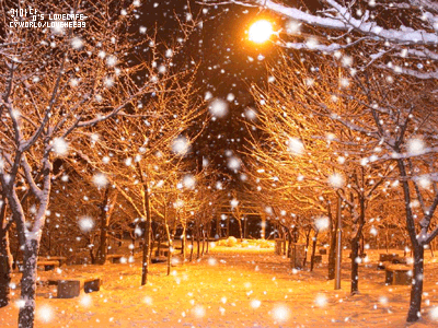 Xmas-37.jpg