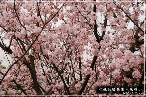 1025_陽明山.辛亥光復樓5.jpg 1025_陽明山.辛亥光復樓5.jpg