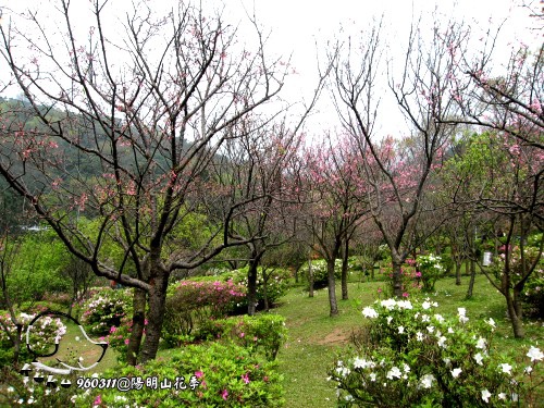 1025_陽明山.辛亥光復樓4.jpg 1025_陽明山.辛亥光復樓4.jpg