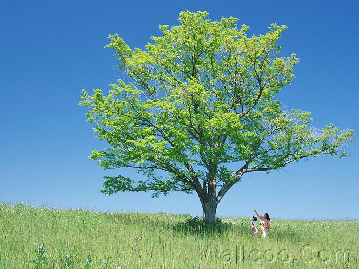 photos_of_People_and_Nature_JD011.jpg photos_of_People_and_Nature_JD011.jpg