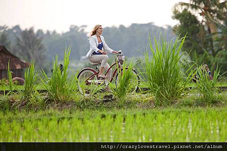 eatpraylove1 eatpraylove1