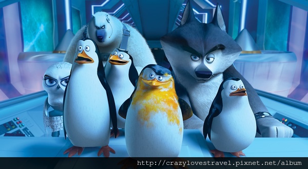 penguins1