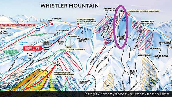 Whistler bowl