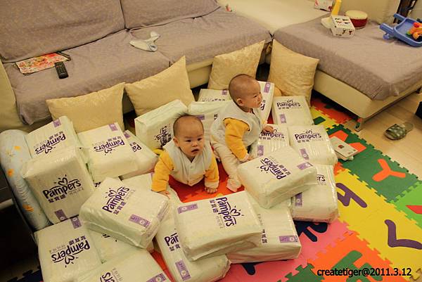 IMG_6954.JPG IMG_6954.JPG