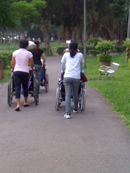 IMG_5445 IMG_5445