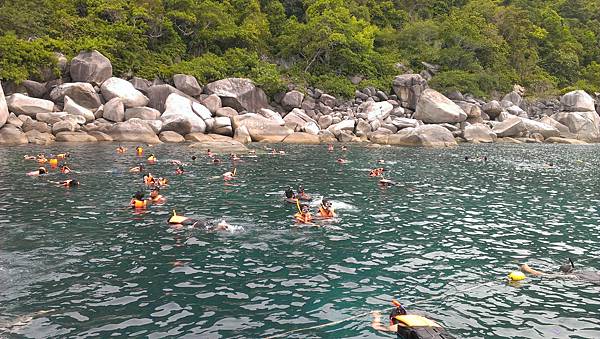 IMAG05171.jpg IMAG05171.jpg