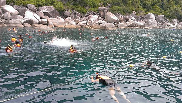 IMAG05181.jpg IMAG05181.jpg