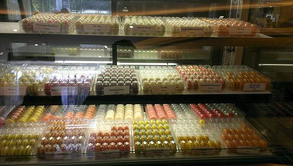 IMAG40551.jpg IMAG40551.jpg