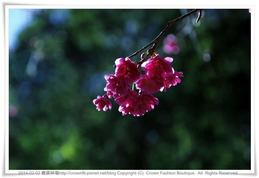 _MG_9685 惠蓀.JPG _MG_9685 惠蓀.JPG