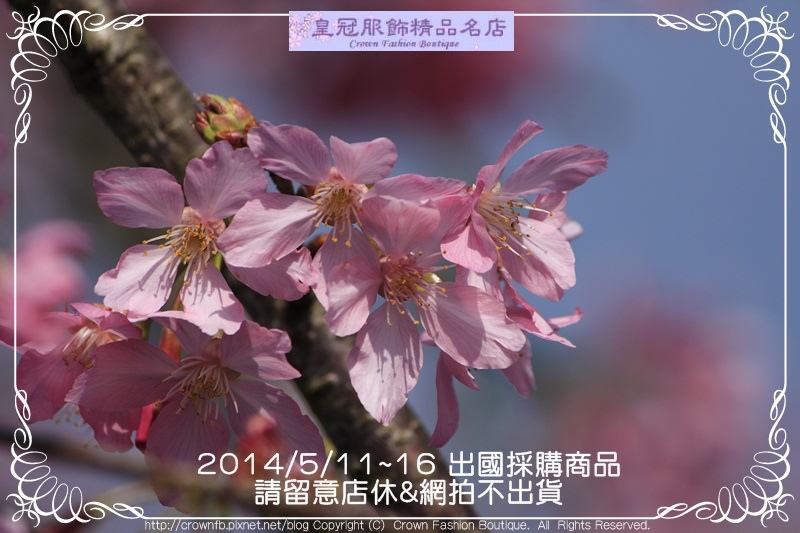 _MG_7148 2014-5-11-16店休.JPG _MG_7148 2014-5-11-16店休.JPG