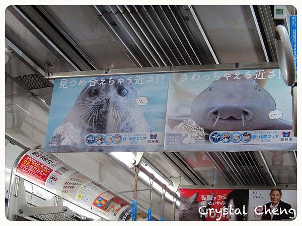 【關西自由行✈大阪好玩推薦】Day 5. 天保山海遊館+Bâton D'or 超夯排隊伴手禮!!