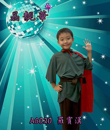 A6020羅賓漢 A6020羅賓漢