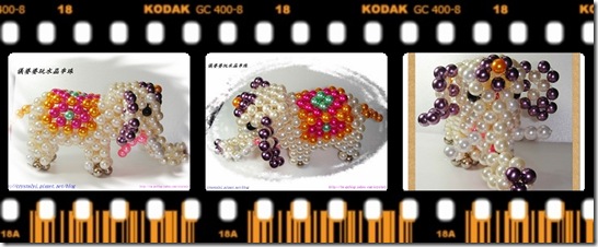 珍珠象_20090811-5