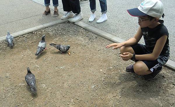 淺草寺、晴空塔半日遊 淺草寺、晴空塔半日遊