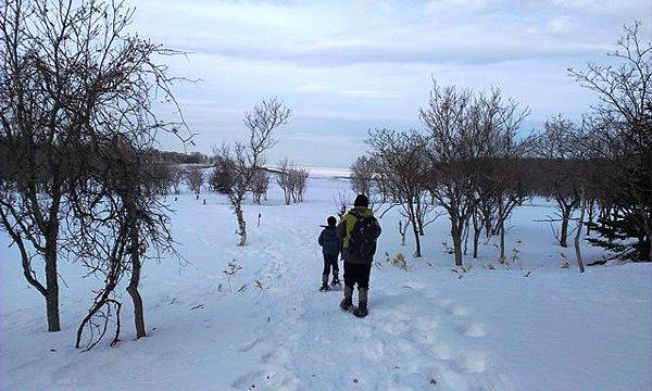 【北海道破冰之旅】知床世界遺產自然生態半日遊