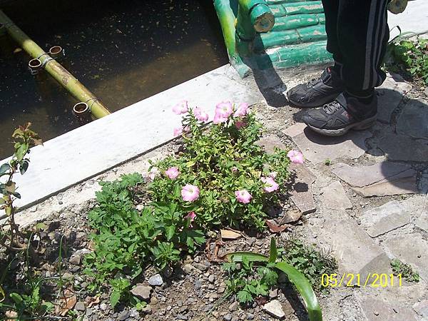 100_0867.JPG 100_0867.JPG