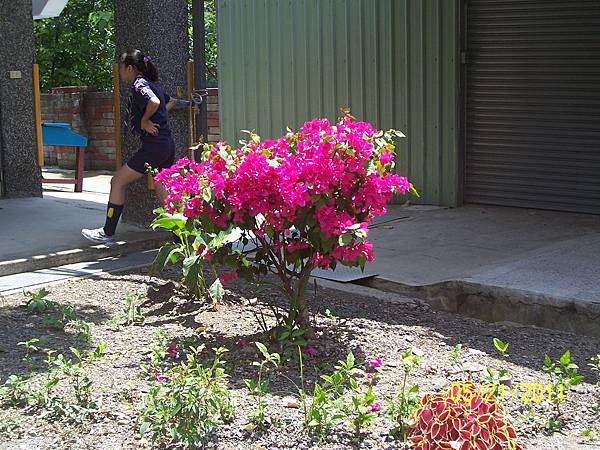 100_0865.JPG 100_0865.JPG