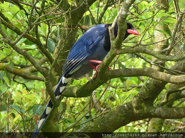 P1020946.JPG P1020946.JPG