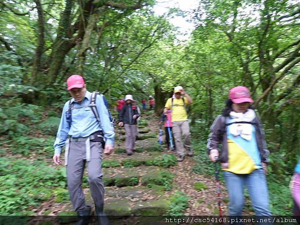 P1020980.JPG P1020980.JPG