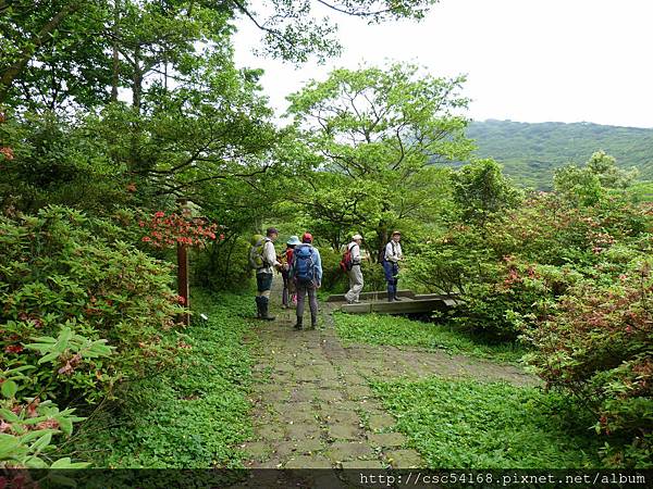 P1020986.JPG P1020986.JPG