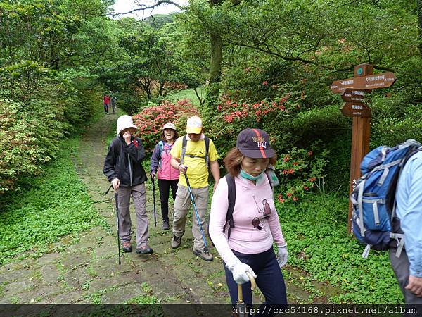 P1020989.JPG P1020989.JPG