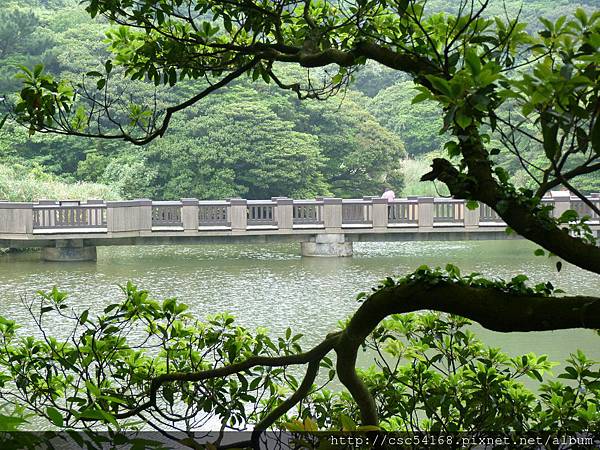 P1030023.JPG P1030023.JPG