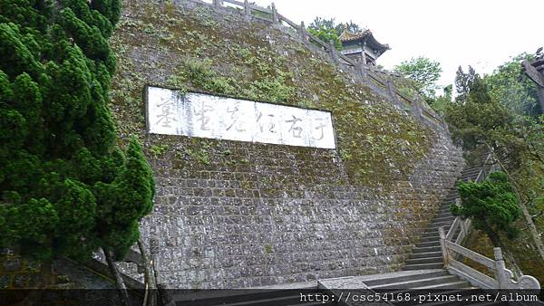 P1030054.JPG P1030054.JPG