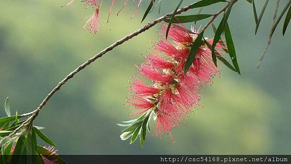 P1030082.JPG P1030082.JPG