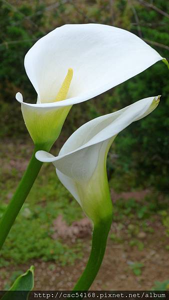 P1030087.JPG P1030087.JPG