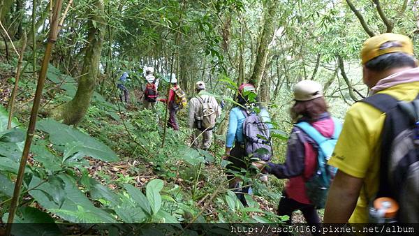 楓樹湖古道 楓樹湖古道