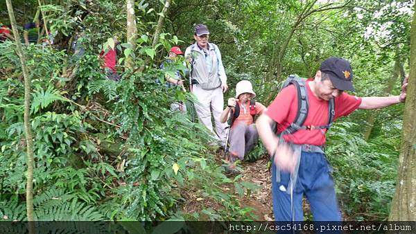 楓樹湖古道 楓樹湖古道