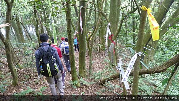 P1030124.JPG P1030124.JPG