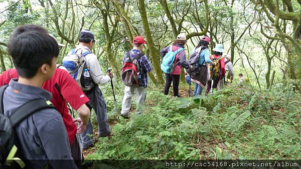 P1030144.JPG P1030144.JPG