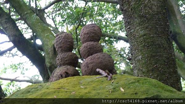 P1030152.JPG P1030152.JPG