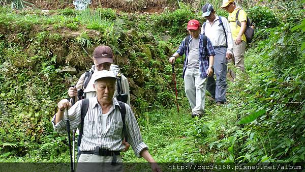 P1030184.JPG P1030184.JPG