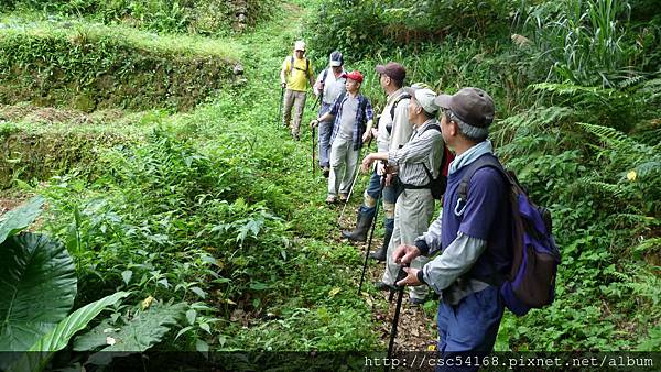 P1030186.JPG P1030186.JPG