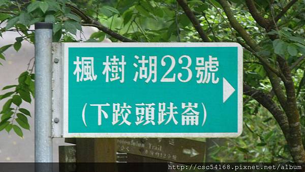 P1030187.JPG P1030187.JPG