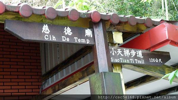 P1030199.JPG P1030199.JPG