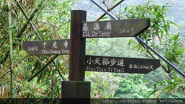 P1030211.JPG P1030211.JPG