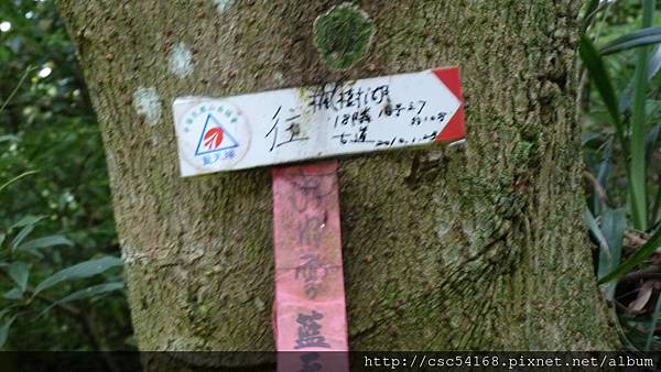 P1030220.JPG P1030220.JPG